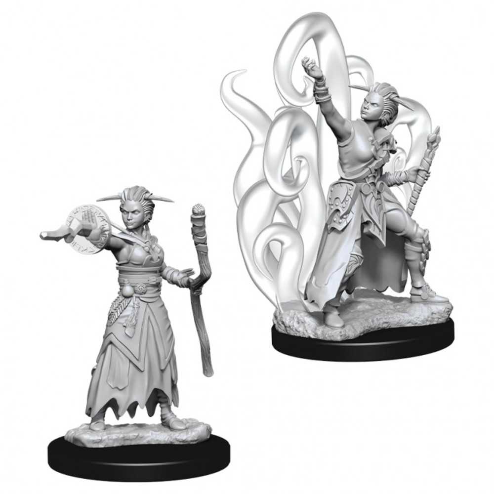 D&D Nolzur's Marvelous Unpainted Miniatures - W10 Female Human Warlock