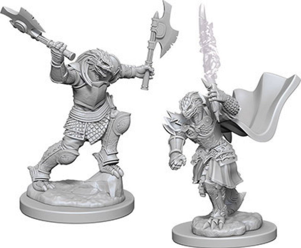 D&D Nolzur's Marvelous Unpainted Miniatures - W04 Dragonborn Female Fighter