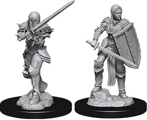 D&D Nolzur's Marvelous Unpainted Miniatures - W09 Female Human Fighter